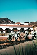 Orchid House Baja & Beach Club