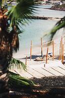 Orchid House Baja & Beach Club