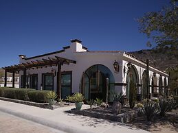 Orchid House Baja & Beach Club