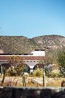 Orchid House Baja & Beach Club