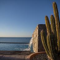 Orchid House Baja & Beach Club