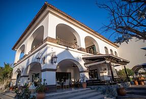 Orchid House Baja & Beach Club