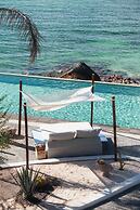 Orchid House Baja & Beach Club