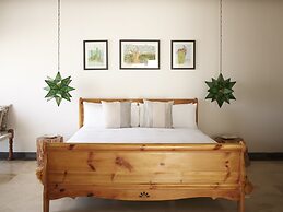 Orchid House Baja & Beach Club