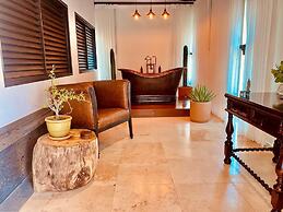 Orchid House Baja & Beach Club