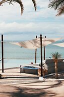 Orchid House Baja & Beach Club