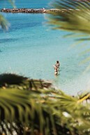 Orchid House Baja & Beach Club