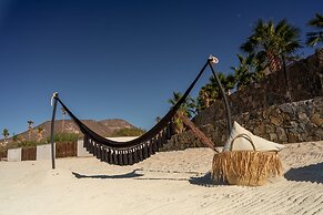 Orchid House Baja & Beach Club