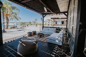 Orchid House Baja & Beach Club