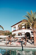 Orchid House Baja & Beach Club