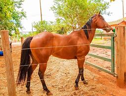 Botânico Hotel Fazenda e SPA