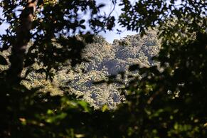 Pueblo del Sol Hotel Retreat