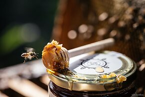 Pueblo del Sol Hotel Retreat