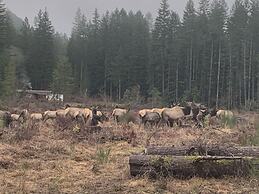 River House Retreat 2 Bedroom Home by Redawning