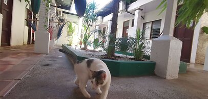 Hotel Aldea Pura Vida