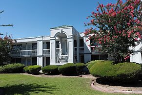 Oneway Savannah