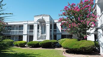 Oneway Savannah