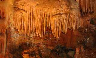 Historical 4 - Bedroom Villa in Alcobaca