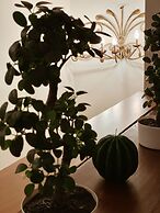 Residenza Tritone a Fontana di Trevi