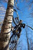 Haltia Lake Lodge nature boutique hotel & glamping