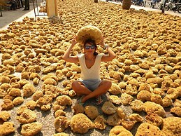 Poets Apertment in Armeos Masouri