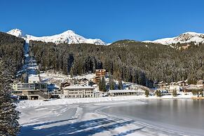 Aves Arosa
