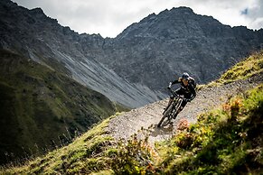 Aves Arosa