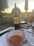 Château de Neyran Maison D'hôtes & Spa