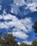 Cozy Solan Apartment With Stunning Views