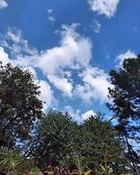 Cozy Solan Apartment With Stunning Views