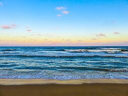 Blue Oasis