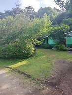 The Green Tree Lodge