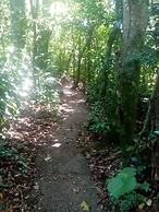 The Green Tree Lodge