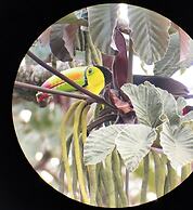 The Green Tree Lodge