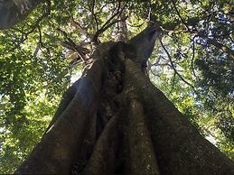 The Green Tree Lodge