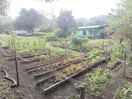 The Green Tree Lodge