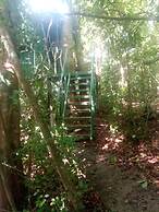 The Green Tree Lodge