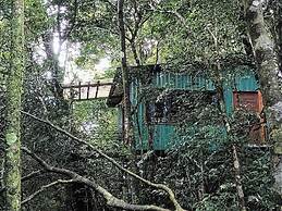 The Green Tree Lodge