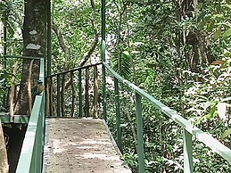 The Green Tree Lodge