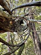 The Green Tree Lodge