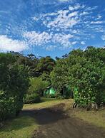 The Green Tree Lodge