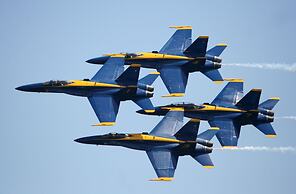 Lazy Urchin Seaclusion