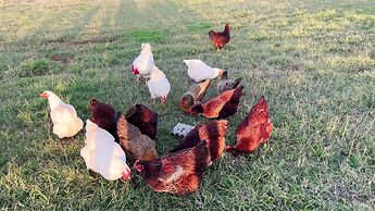 Seven Peaks Farm Stay