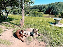 Seven Peaks Farm Stay