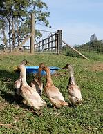 Seven Peaks Farm Stay