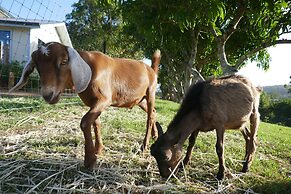 Seven Peaks Farm Stay