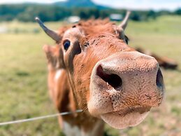 Seven Peaks Farm Stay