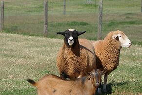 Seven Peaks Farm Stay