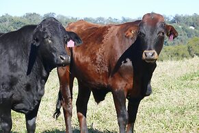 Seven Peaks Farm Stay