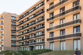 Ster Der Zee On Sea Shore